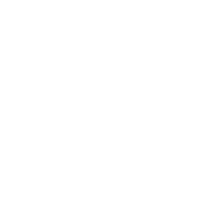 SDRone Duo icon