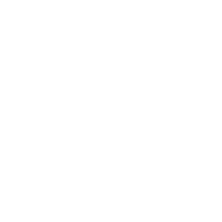 SDRone Swarmio icon