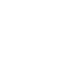 SDRone Vario AI icon